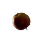Alsedo Juggler Apple Logo